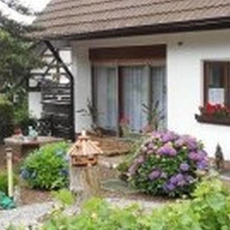 Pension Haus Monika Sasbachwalden Exterior foto